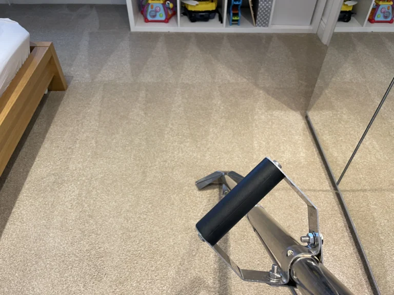 Affordable carpet care at home
