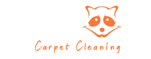 Raccoon Carpet Cleaning