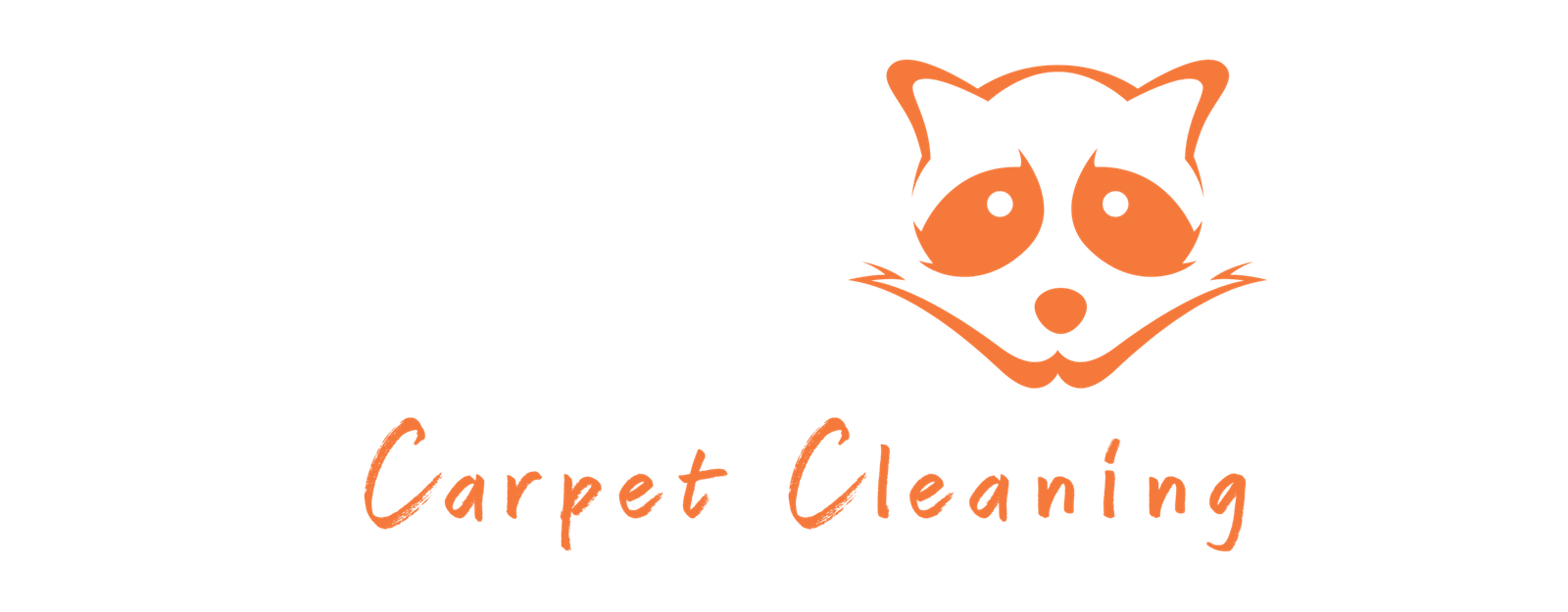 Raccoon Carpet Cleaning